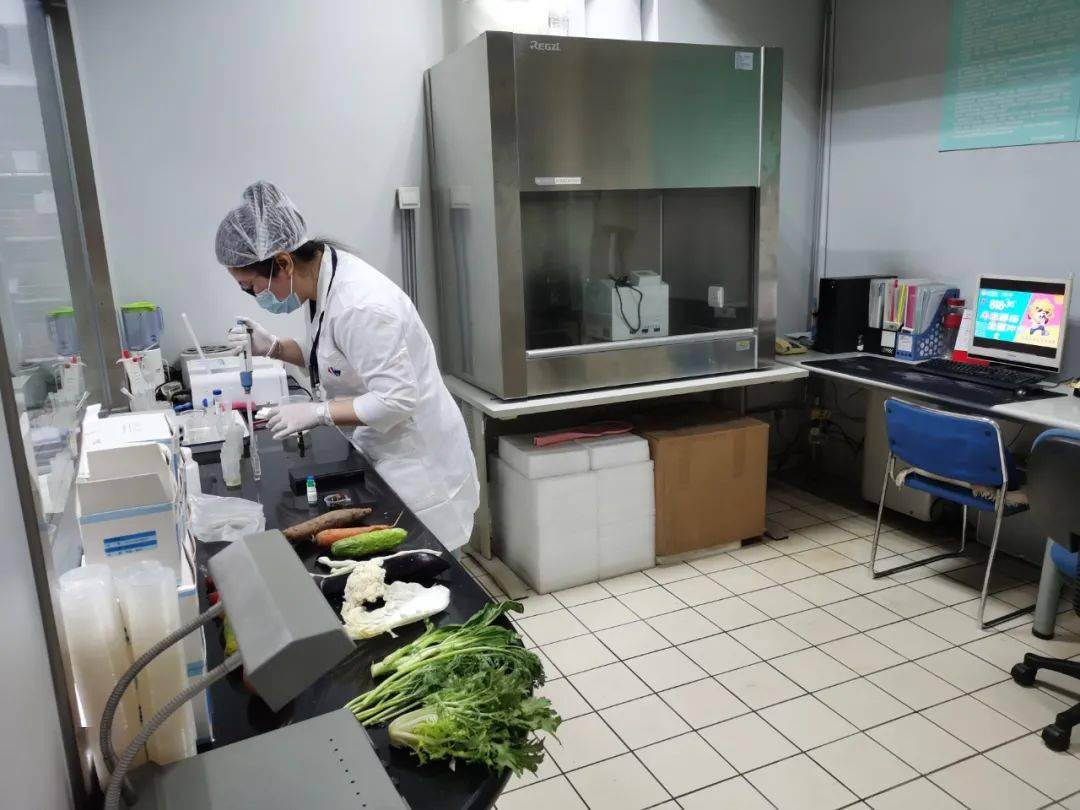 绥滨食品检测实验室装修方案